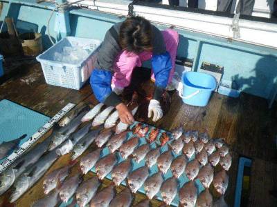 磯部釣船 直栄丸 釣果