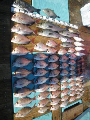 磯部釣船 直栄丸 釣果