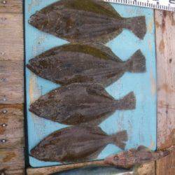 磯部釣船 直栄丸 釣果