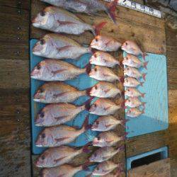 磯部釣船 直栄丸 釣果