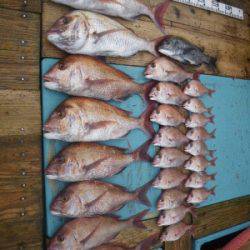 磯部釣船 直栄丸 釣果