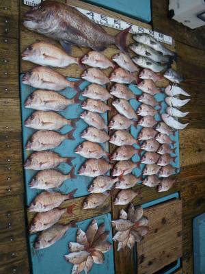 磯部釣船 直栄丸 釣果