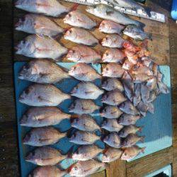 磯部釣船 直栄丸 釣果