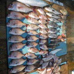 磯部釣船 直栄丸 釣果