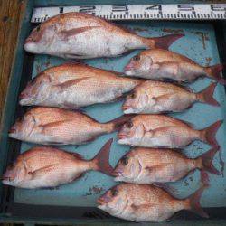 磯部釣船 直栄丸 釣果