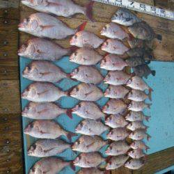 磯部釣船 直栄丸 釣果