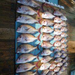 磯部釣船 直栄丸 釣果