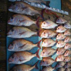 磯部釣船 直栄丸 釣果