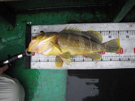 海宝丸　島根 釣果