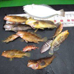 海宝丸 島根 釣果