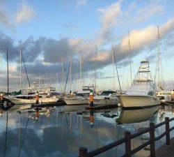 クルーザーフィッシングトムトム 釣果