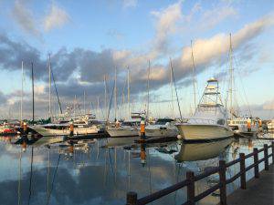 クルーザーフィッシングトムトム 釣果