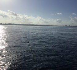 クルーザーフィッシングトムトム 釣果