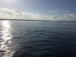 クルーザーフィッシングトムトム 釣果