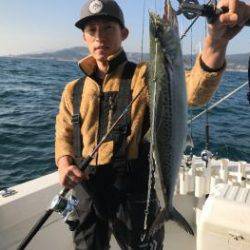 シーマジカル 釣果