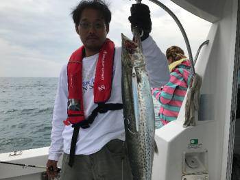 シーマジカル 釣果