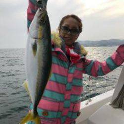 シーマジカル 釣果