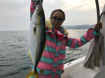 シーマジカル 釣果