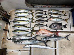 さぶろう丸 釣果