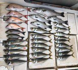 さぶろう丸 釣果