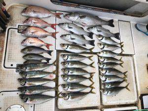 さぶろう丸 釣果