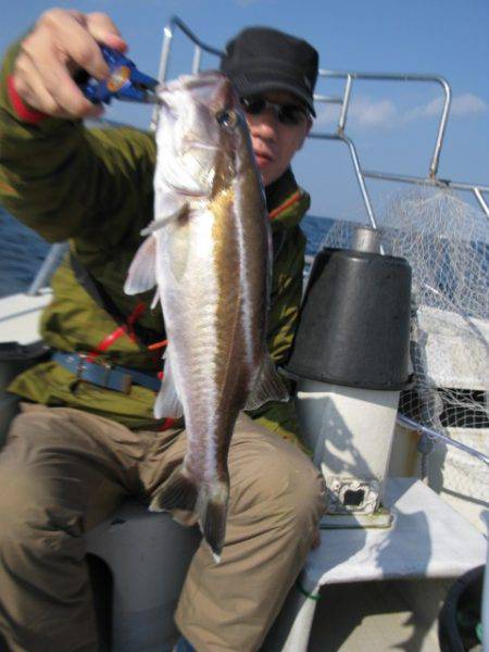 Aquanaut(アクアノート) 釣果