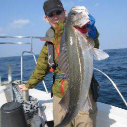 Aquanaut(アクアノート) 釣果