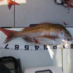 Aquanaut(アクアノート) 釣果