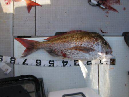 Aquanaut(アクアノート) 釣果