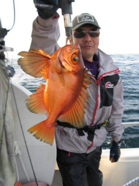 Aquanaut(アクアノート) 釣果