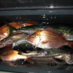 Aquanaut(アクアノート) 釣果