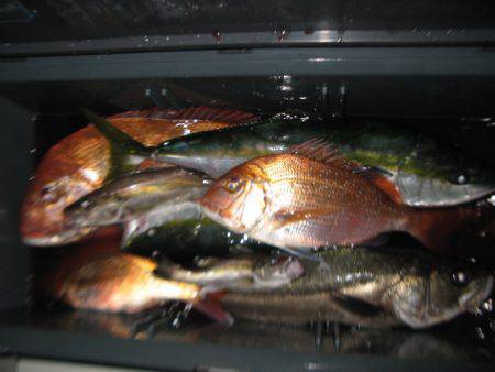 Aquanaut(アクアノート) 釣果