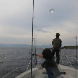 Aquanaut(アクアノート) 釣果