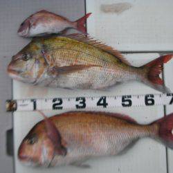 Aquanaut(アクアノート) 釣果