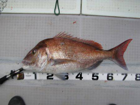 Aquanaut（アクアノート） 釣果