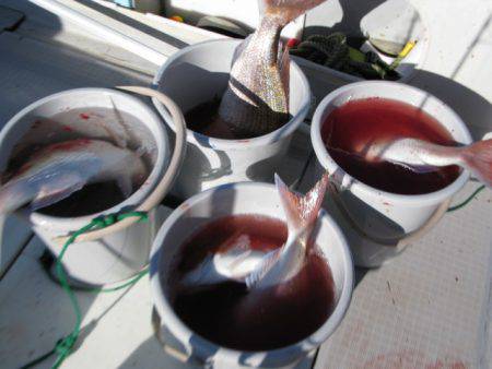 Aquanaut(アクアノート) 釣果