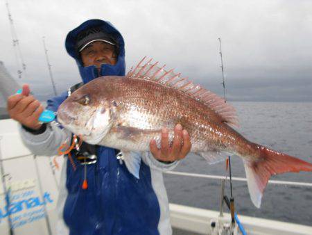 Aquanaut（アクアノート） 釣果