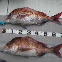 Aquanaut（アクアノート） 釣果