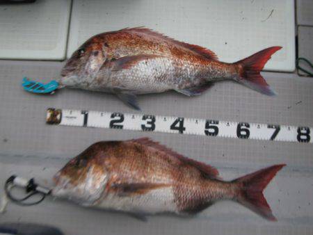 Aquanaut（アクアノート） 釣果