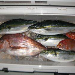 Aquanaut(アクアノート) 釣果