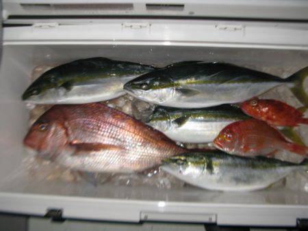 Aquanaut(アクアノート) 釣果