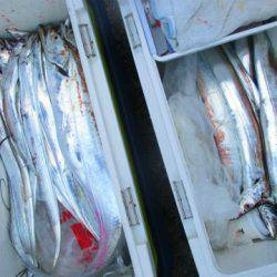 フィッシングガイド とちぎ 釣果