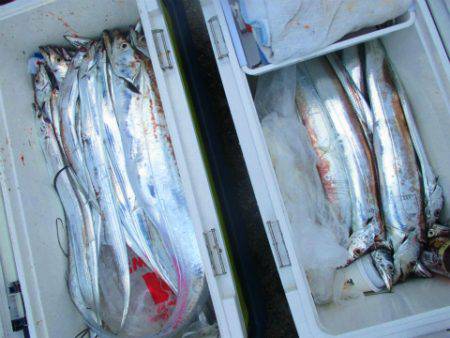 フィッシングガイド とちぎ 釣果