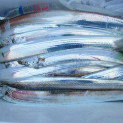 フィッシングガイド とちぎ 釣果