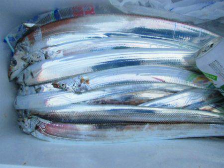 フィッシングガイド とちぎ 釣果