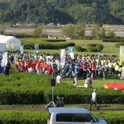 安倍川・藁科川（安倍藁科川漁業協同組合） 釣果