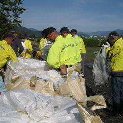 安倍川・藁科川（安倍藁科川漁業協同組合） 釣果