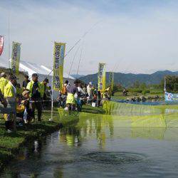 安倍川・藁科川（安倍藁科川漁業協同組合） 釣果