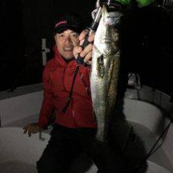 シーマジカル 釣果