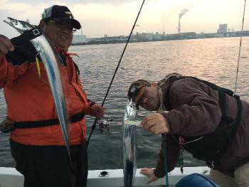 シーマジカル 釣果